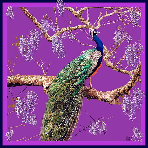 Peacock violet